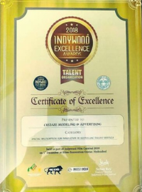 Indywood Excellence Award